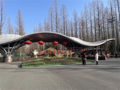 ​大年初二，东平国家森林公园游人如织