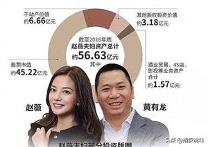 赵薇事件是怎么回事（赵薇出什么事了吗）-