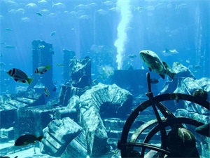 海底两万里亚特兰蒂斯是否存在（亚特兰蒂斯真的存在吗）(图18)