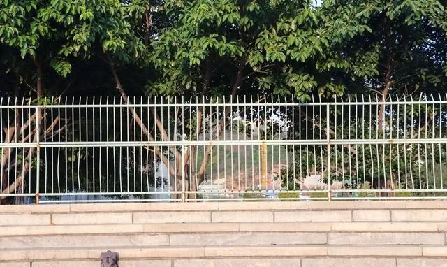 泉州这座山上的学校,除了8个食堂,还有这些鲜为人知的真相……