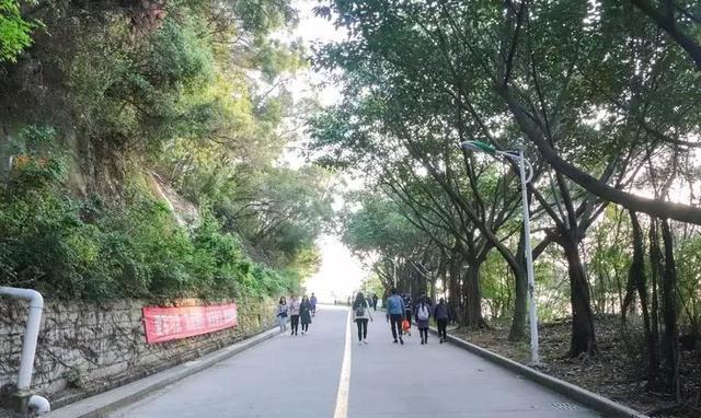 泉州这座山上的学校,除了8个食堂,还有这些鲜为人知的真相……