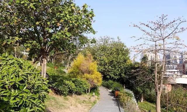 泉州这座山上的学校,除了8个食堂,还有这些鲜为人知的真相……