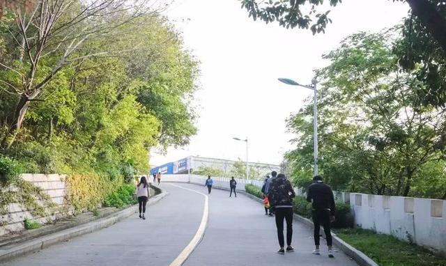 泉州这座山上的学校,除了8个食堂,还有这些鲜为人知的真相……