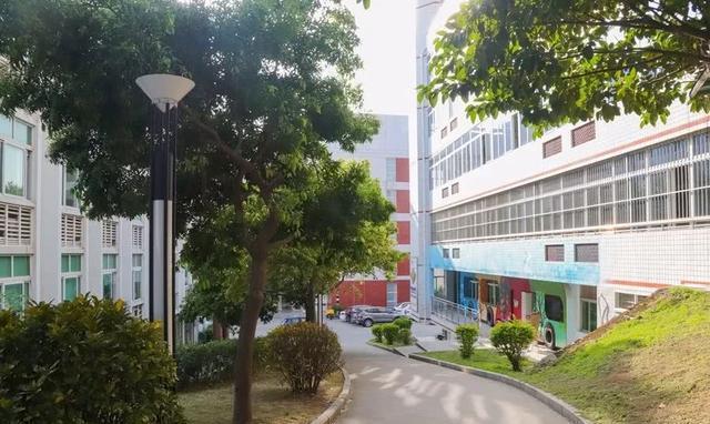 泉州这座山上的学校,除了8个食堂,还有这些鲜为人知的真相……