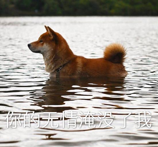 囧哥:认清自己!23岁小伙自称帅到想跳楼 帅到没朋友