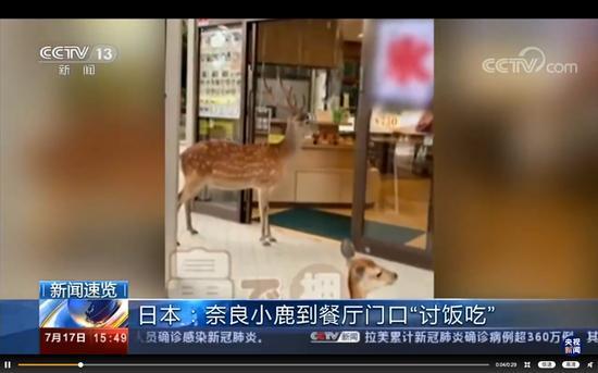 囧哥:认清自己!23岁小伙自称帅到想跳楼 帅到没朋友