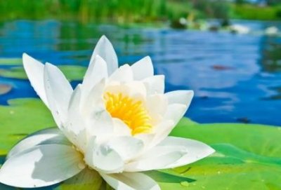 ​相见时珍惜彼此的经典话语不容易