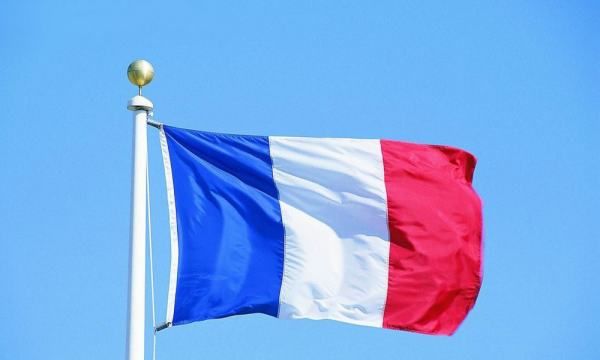 法国国旗颜色,法国的国旗是什么颜色组成的图1