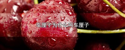 车厘子为什么叫车厘子