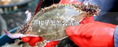 ​梭子蟹怎么清蒸