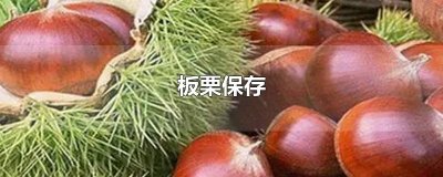 ​板栗保存