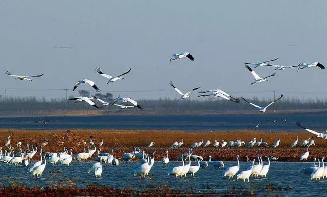 端午高速公路是否免费（端午高速不免费）(11)