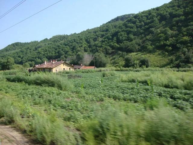 珲春海参崴三日游价格(二零零九年八月六日)(11)