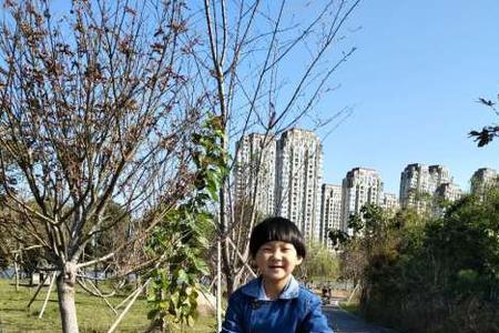 佳晨名字的含义