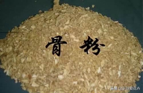 养花复合肥和磷钾肥哪个好（了解氮磷钾肥的用途）(8)