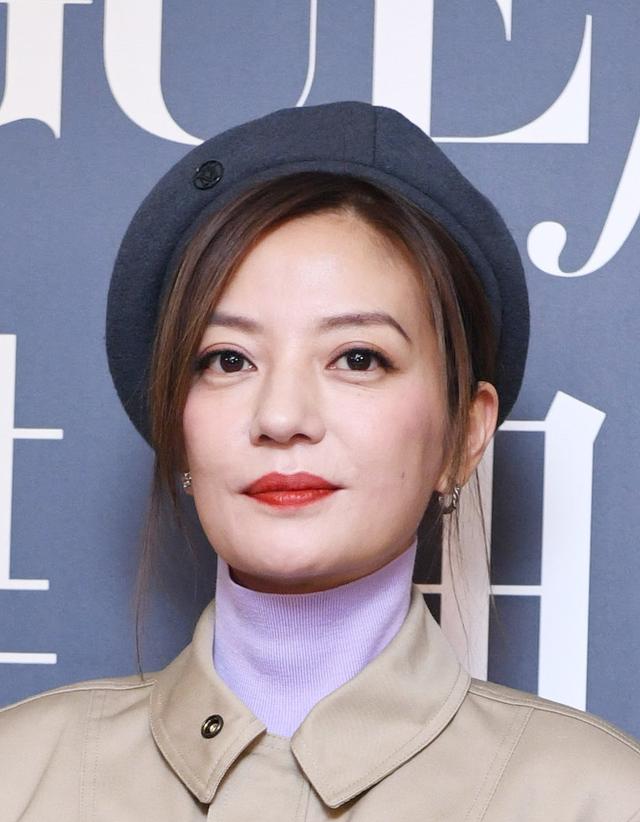 盘点赵薇的几大影视作品(讲述影视明星赵薇的故事)(4)