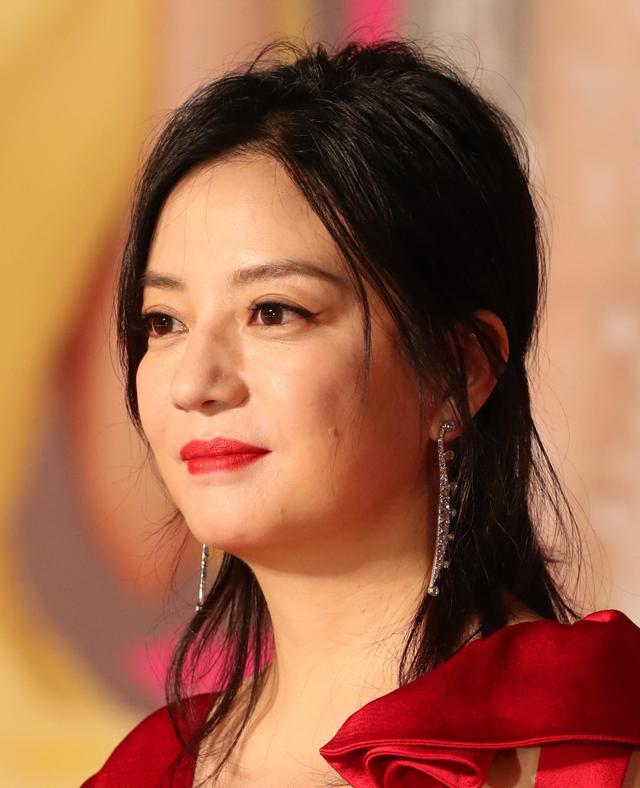 盘点赵薇的几大影视作品(讲述影视明星赵薇的故事)(5)