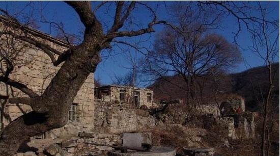 1987年陕西夜狸猫事变究竟,陕西农村一晚上怪僻消逝