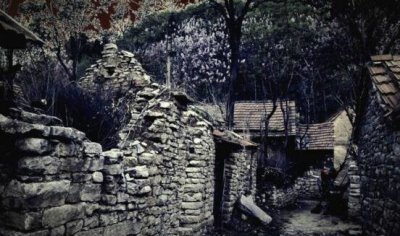 ​1987年陕西夜狸猫事变究竟，陕西农村一晚上怪僻消逝