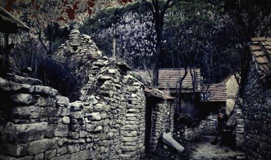 1987年陕西夜狸猫事变究竟,陕西农村一晚上怪僻消逝