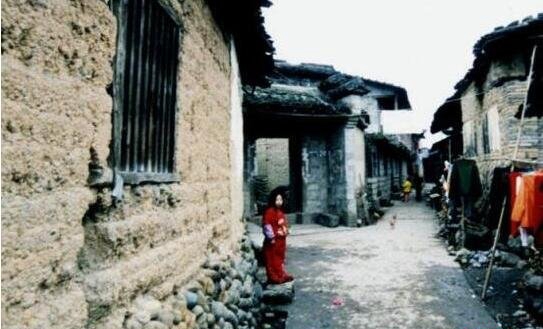 1987年陕西夜狸猫事变究竟,陕西农村一晚上怪僻消逝