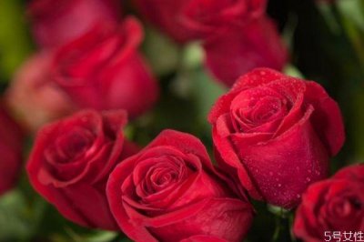 ​男生告白应该送什么礼物呢 暗恋对方应该送什么呢