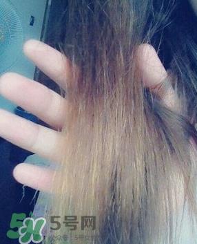 摩洛哥护发精油是哪个国家的?摩洛哥护发精油孕妇能用吗 摩洛哥护发精油是哪个国家的?摩洛哥护发精油孕妇能用吗