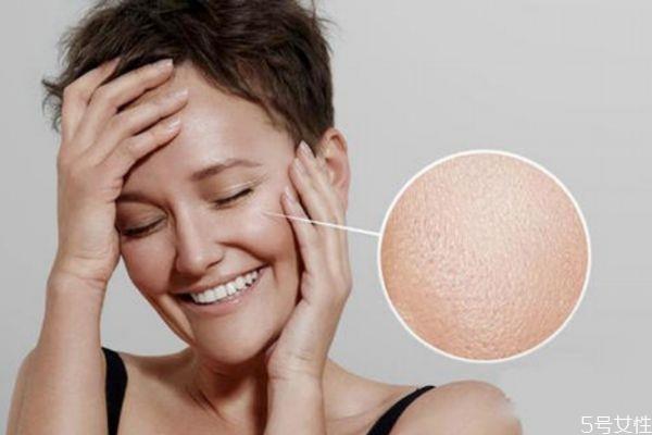 皮肤毛孔粗大的原因 为什么皮肤毛孔会粗大