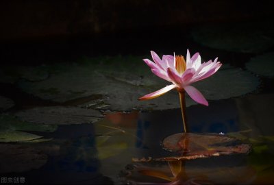 ​卑微的意思是什么？