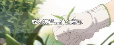 ​终于拔草了什么意思 拔草是啥意思?