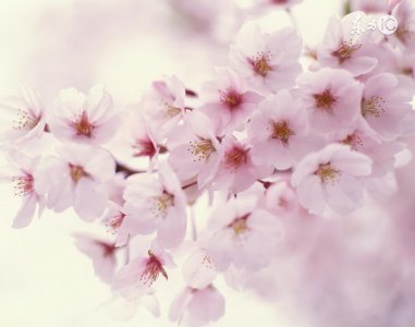 ​10句形容没钱的经典句子，太精辟了！