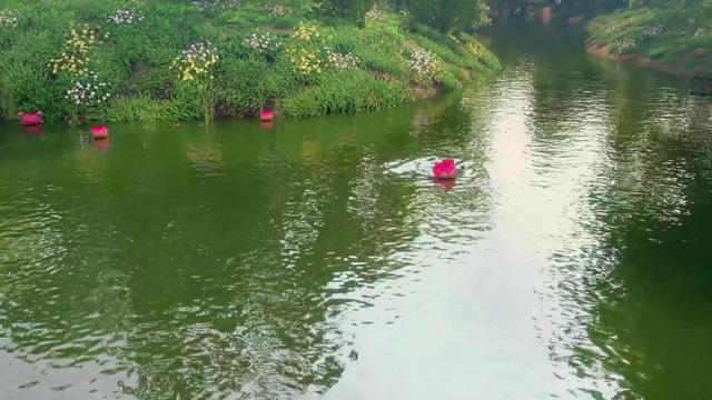 好看的锦衣卫题材国漫(少年锦衣卫画风绝美却突然没了后续)(31)