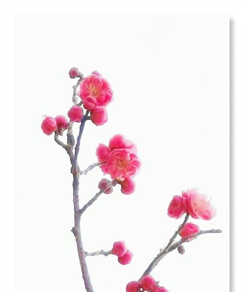 张爱玲说人生三大恨,《红楼梦》未完,高鹗版的续写真有这么差吗