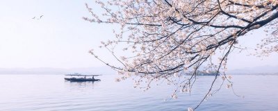 ​晓出净慈寺送林子方全文