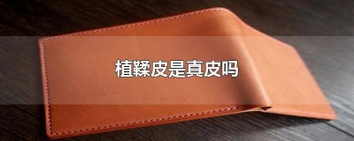​植鞣牛皮怎么保养 植鞣皮革是真皮吗