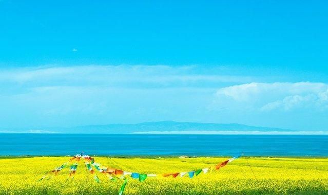 青海的发展方向在哪