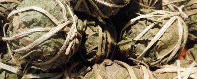 ​常喝鹧鸪茶有什么好处 鹧鸪茶的作用以及功能禁忌