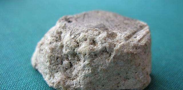 深海大王乌贼唯一的天敌, 专产稀世珍宝, 高达300多万美元!