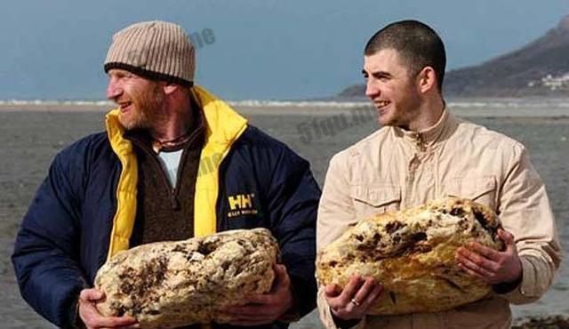 深海大王乌贼唯一的天敌, 专产稀世珍宝, 高达300多万美元!