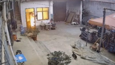 ​连续点火19次！河南平顶山一居民家中煤气罐爆炸，明火瞬间喷出崩飞门窗