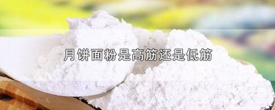 ​低筋面粉和月饼粉的区别 月饼用低筋粉还是高筋粉