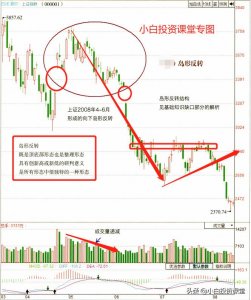 ​形态分析法之十：岛形反转