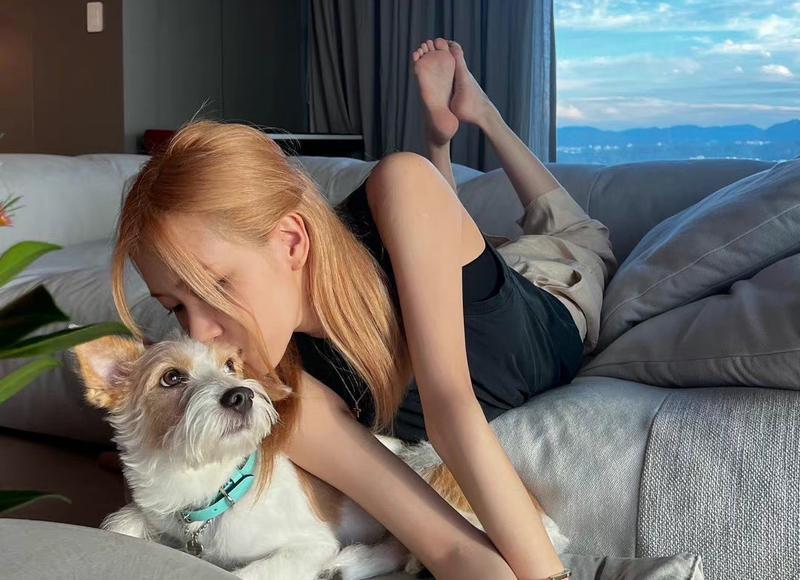 生活中你会经常被蒙蔽吗？你最容易被什么蒙蔽？