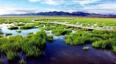 ​红军长征时走过的松潘草地，现今是个什么状况呢？