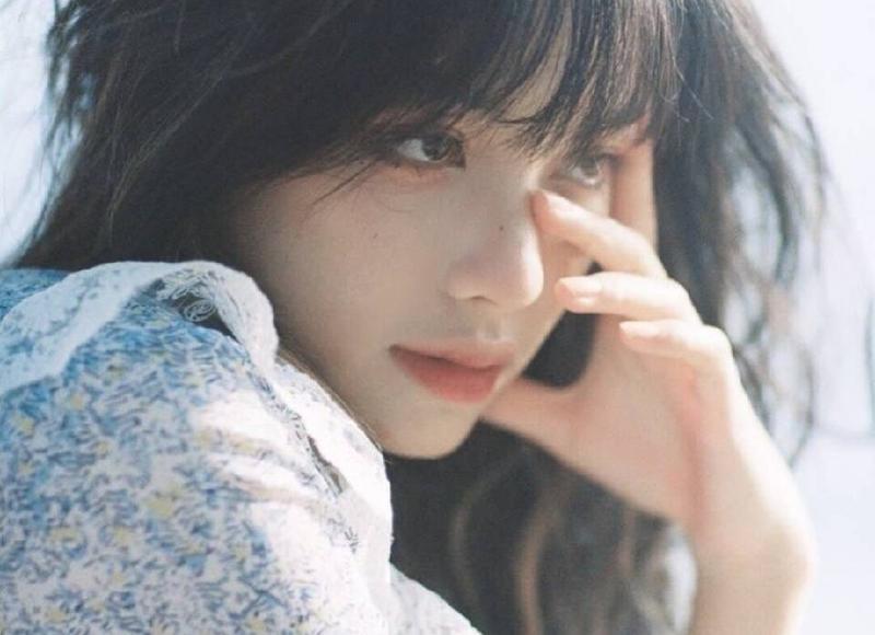 明星脸垮掉，全奖靳东…细数明星清流人设的垮掉