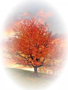 ​时间的力量，可以改变一切