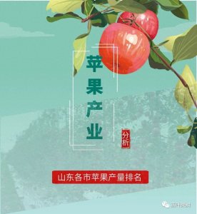 ​山东省苹果产业规模10强排行榜