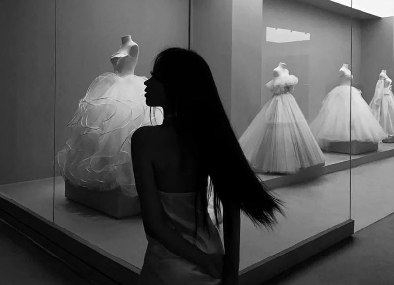 阿拉斯加雪橇犬（世界犬种-阿拉斯加雪橇犬）