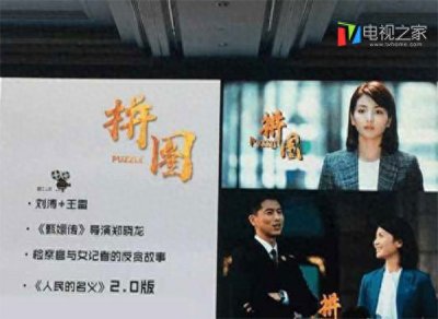 ​刘涛新剧《拼图》什么时间播 哪里可以看