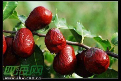 ​左侧上腹部隐痛的原因有哪些怎么缓解改善